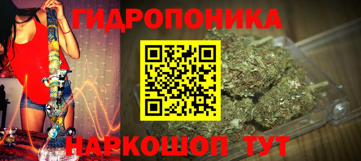Каннабис Amnesia  Вход с VPN  Шишки марихуана сатива  Бошки Шишки OG Kush  Орск 